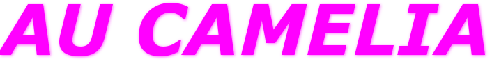 AU CAMELIA